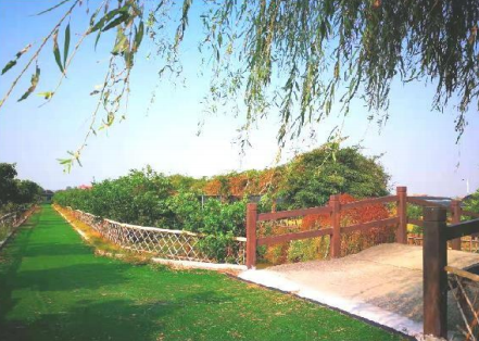 番禺悅活樂(yuè)耕